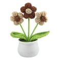 thumbnail image 1 of Bgsha Handwoven Wool Crochet Puff Flower Pot: A Timeless,Low-maintenance Home Decor!, 1 of 10
