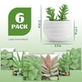 thumbnail image 2 of Set de suculentas artificiales Der Rose con 6 plantas para decoración del hogar, 2 of 6