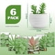 thumbnail image 2 of Set de suculentas artificiales Der Rose con 6 plantas para decoración del hogar, 2 of 6