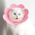 thumbnail image 4 of Collier de Protection Design Floral Anti-Lichage Eva pour Chat Intérieur, 4 of 5