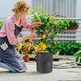 thumbnail image 6 of FGY 10 Gallon Grow Bags Fabric Pots with Handles and Harvest Window for Potato Tomato and Vegetables (Black, 5-Pack), 6 of 7