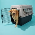 thumbnail image 3 of Vibrant Life Medium/Large Plastic Hard-Sided Pet Carrier, Black and Gray, 70 lb Limit, 3 of 8