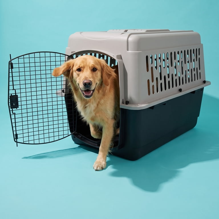 Vibrant Life Medium/Large Plastic Hard-Sided Pet Carrier, Black
