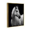 thumbnail image 4 of Stupell Industries Horse on Black Portrait Animals & Insects Photography Gold Floater Framed Canvas Art Print Wall Art, 25 x 31, 4 of 10