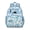 Sky-blue-4, variant on Exotic Floral Ergonomic Backpack - Adjustable Spine-Protecting School Bag for Teens