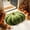 Green Free Size, variant on CRAGRSI Home Thanksgiving Decorations Party Rustic Gift Traditional Doormat diatom ooze Green For Autumn Holiday Parties Use