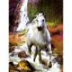 thumbnail image 1 of Cuadros Decorativos 5D DIY diamante pintura animal completo redondo diamante mosaico hogar Likrtyny embutido en tela, 1 of 7