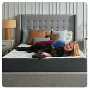 Sealy Essentials 10” Medium Queen Gel Memory Foam Mattress-in-a-Box, Adult