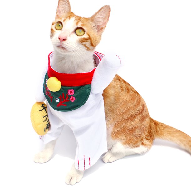 Petio Halloween Maneki Neko Cat Kitty Pet Dress Costume White Green Yellow Walmart Com Walmart Com