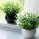 thumbnail image 2 of 10 racimos de plantas de eucalipto artificial Plantas verdes falsas de plástico Arbustos realistas para la decoración de la boda del patio del jardín del hogar (verde), 2 of 5