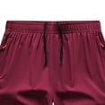 thumbnail image 3 of Vetsdori Elastic Waist Shorts for Men with Pockets Workout Running Quick Dry Summer Casual Pull On Mens Beach Shorts, 3 of 4