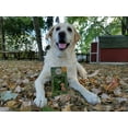 thumbnail image 2 of See Spot Go Biodegradable Dog Poop Bags 120 Environmentally Friendly Compostable Dog Waste Bags – 8 Rolls – Large 9x13 in., 2 of 7