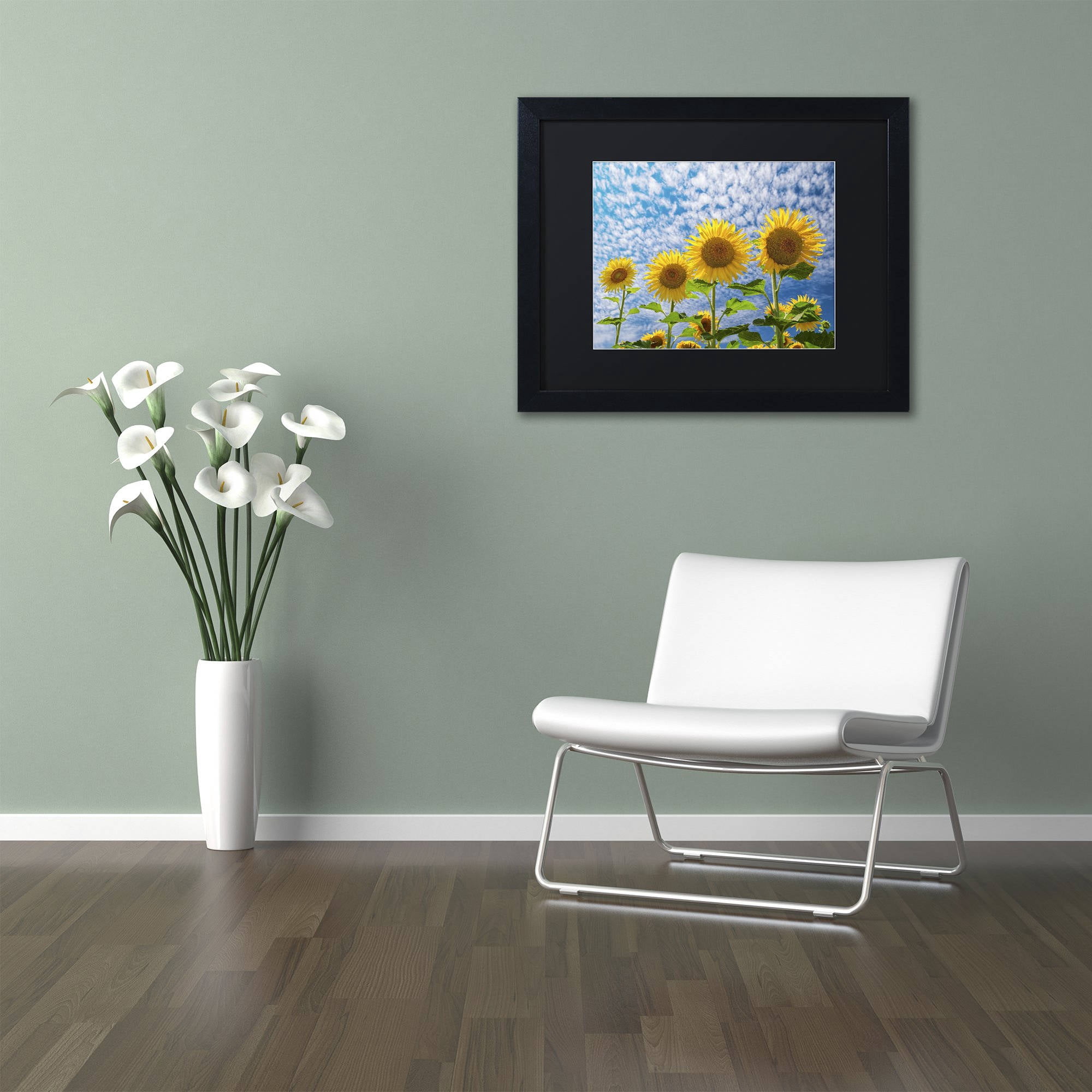 Trademark Fine Art "The Four Sisters" Canvas Art by Michael Blanchette Photography Black Matte, Black Frame