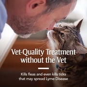 PETARMOR Flea & Tick Treatment for Cats over 1.5 lbs, 3 Monthly Applications