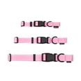 thumbnail image 5 of One Paw, Webbing Collar for Dogs, Multiple Colors and Sizes, 5 of 5