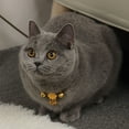 thumbnail image 3 of Cat Bells Collar Neck Strap Teddy Puppy Leash Walking Traction Rope Pet Supply, 3 of 8