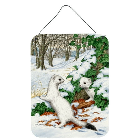 Stoats Short Tailed Weasel Wall Or Door Hanging Prints Stoats Short Tailed Weasel Wall Or Door Hanging Prints