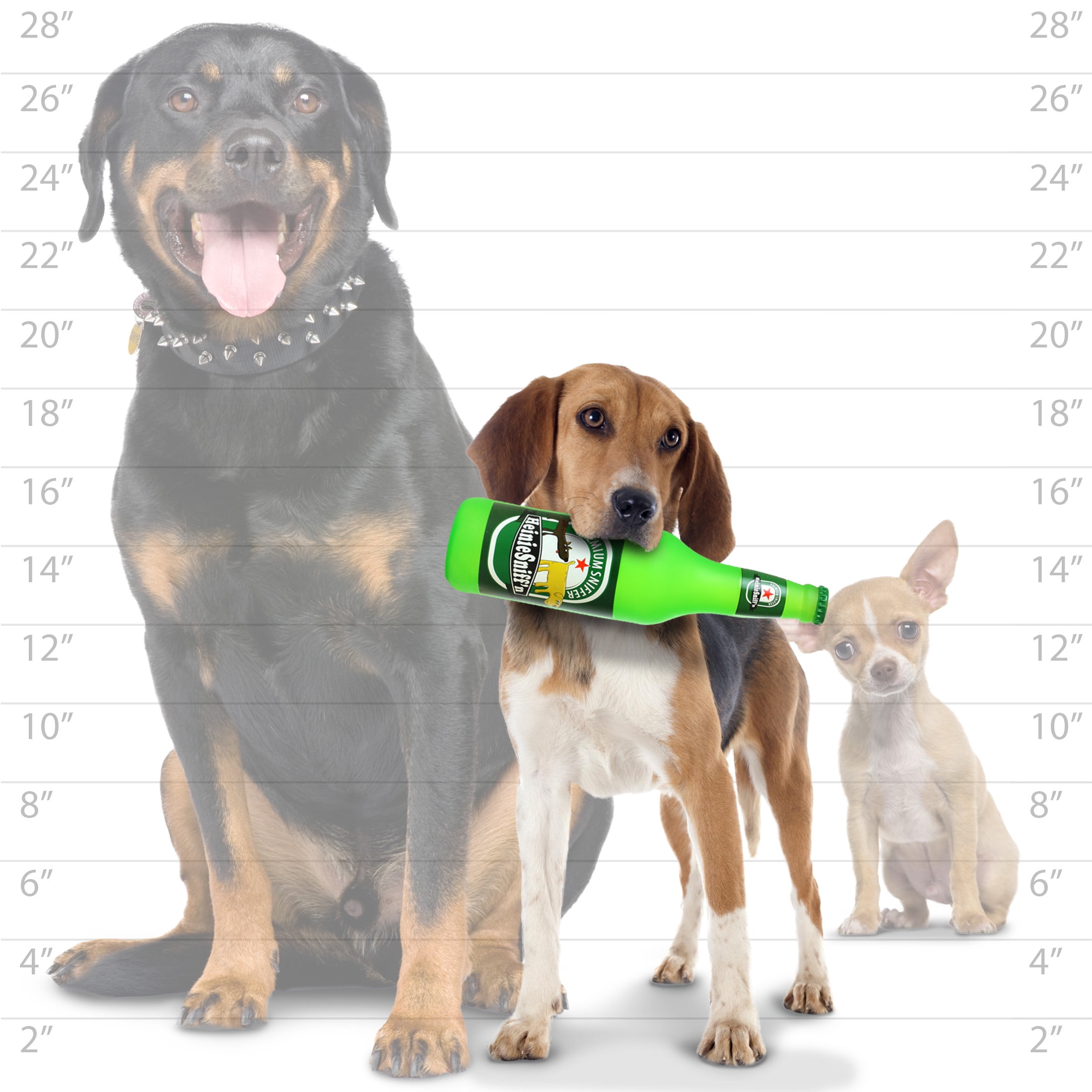 Silly Squeakers Beer Bottle Heinie Sniffn Durable Squeaky Vinyl 2-Pack Dog Toy