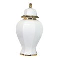thumbnail image 2 of GROWTH TANK Ceramic Flower Vase Display Table Centerpieces Porcelain Ginger Jar for Weddings, 2 of 9