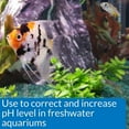 thumbnail image 4 of Aquarium pH Up Solution for Healthy Freshwater Fish, 4 of 5