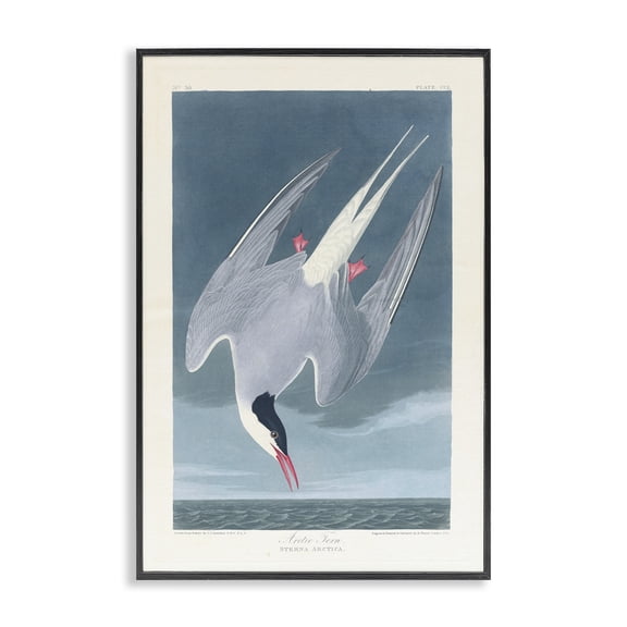Stupell Industries Transitional Black Framed Giclee Art, 12 x 18, by one1000paintings