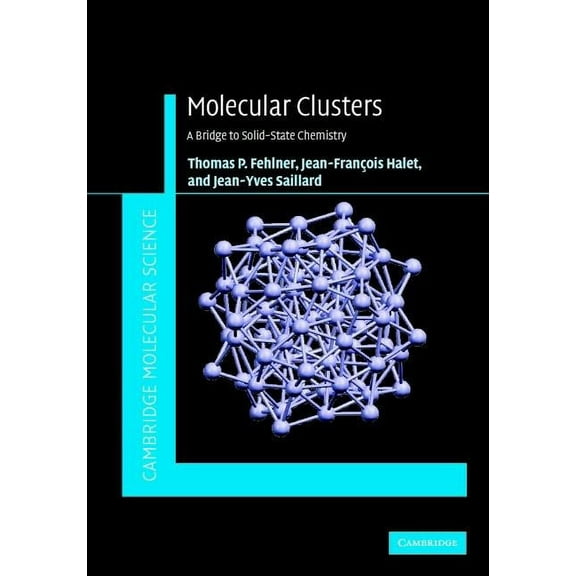 Cambridge Molecular Science Molecular Clusters, (Hardcover)