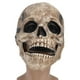 thumbnail image 1 of Accesorios de Halloween, máscara de calavera de Halloween, máscara de cosplay completa, máscara de Halloween, estándares líderes en la industria, 1 of 8