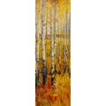 thumbnail image 3 of OToole, Tim 7x14 Black Modern Framed Museum Art Print Titled - Custom Vivid Birch Forest II (ASH), 3 of 5