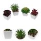 thumbnail image 5 of 4 piezas de simulación de plantas suculentas decorativas de imitación de plantas en maceta para decoración del hogar, 5 of 6