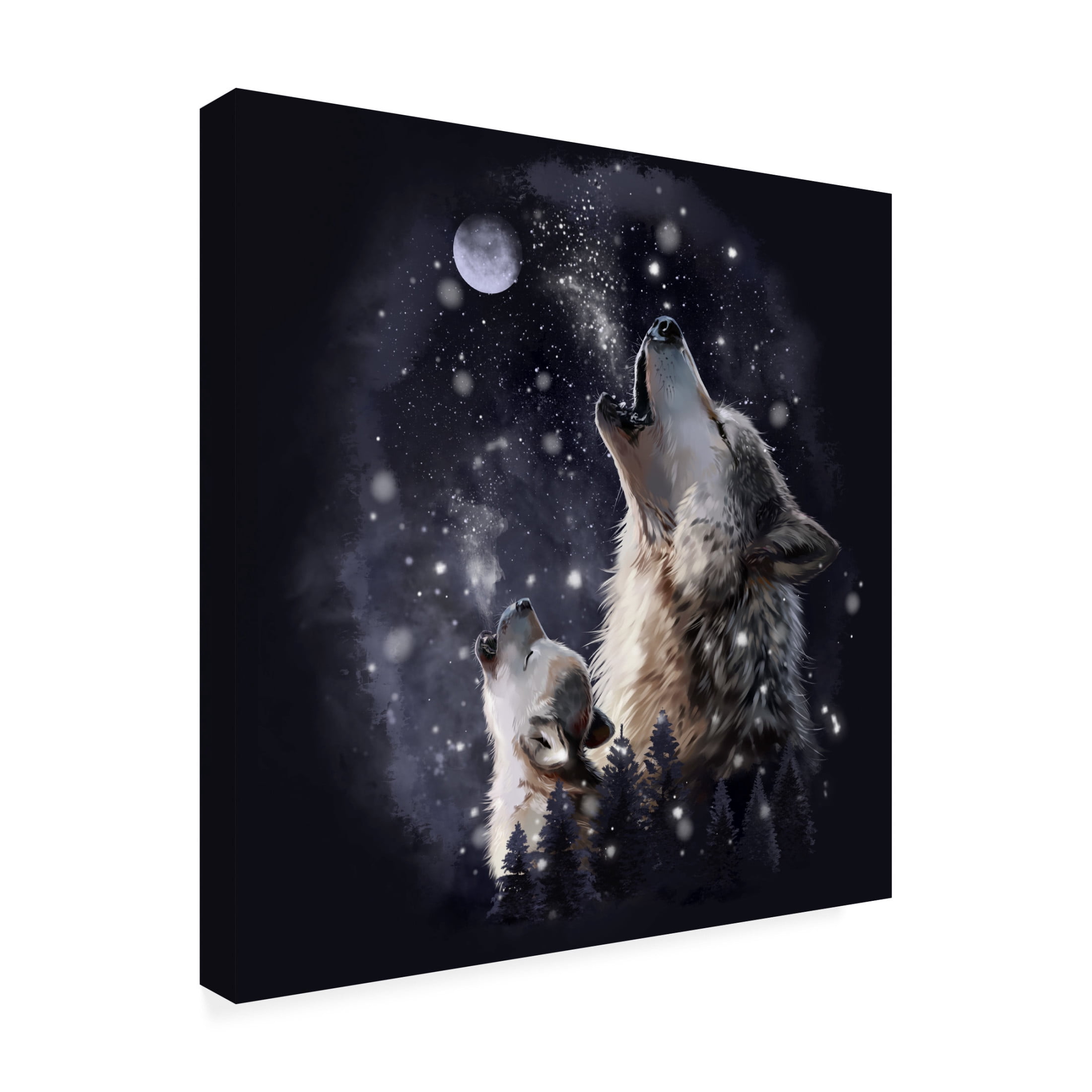 Canvas Wall Art - Kajenna Art '939 - Midnight Howl' Wall Art for Living Room, Bedroom, or Office Décor by Trademark Fine Art - 24 x 24 Inches