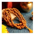 thumbnail image 2 of 5 Mukhi Rudraksha Mala -10mm Rudraksha Japon Mala pour Hommes et Femmes-108+1 Perles, 2 of 3