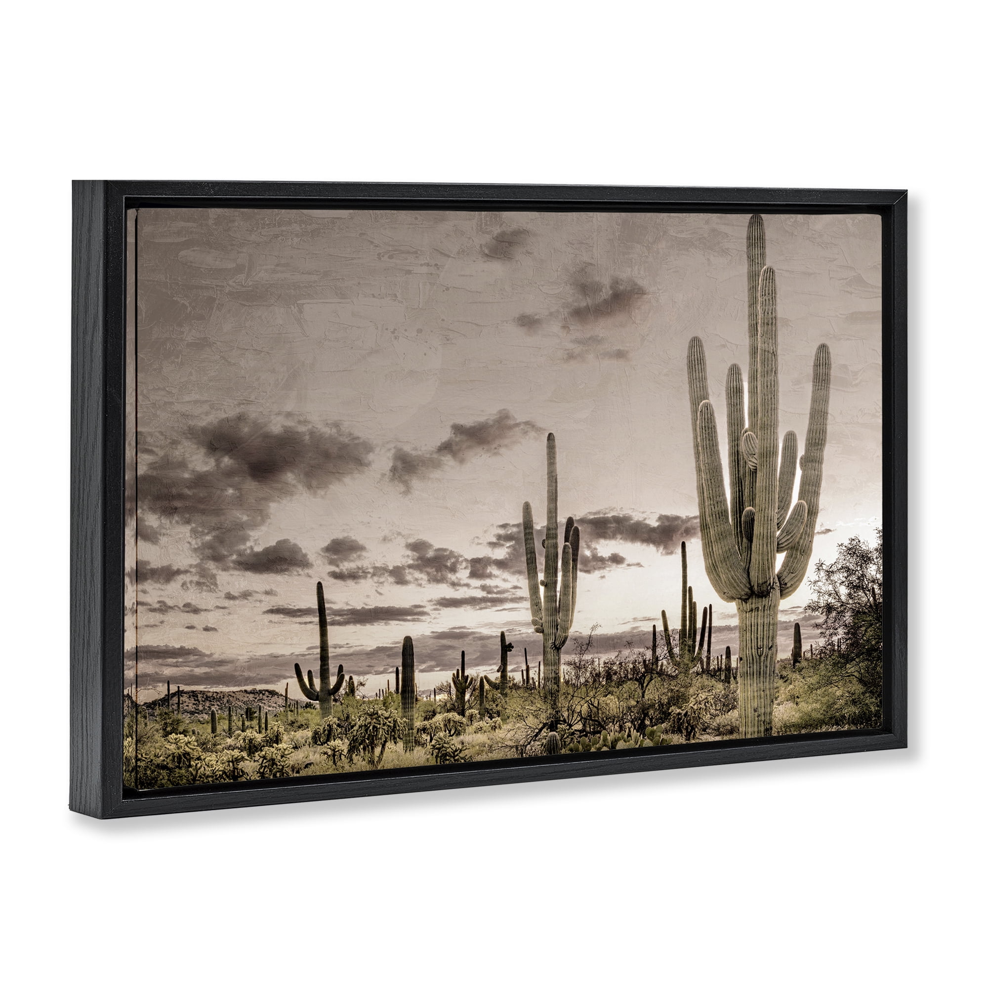 Stupell Industries Desert Sky Wilderness Black Framed Floater Canvas Wall Art, design by Kim Allen