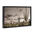 thumbnail image 2 of Stupell Industries Rustic Lodge Desert Sky Wilderness Black Floating Frame Canvas Art, 25 x 17, by Kim Allen, 2 of 8