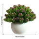 thumbnail image 2 of Planta artificial en maceta de plástico falso maceta de simulación de mesa Bonsai decoración del hogar Vogacara HA8763-00B, 2 of 6