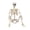 16", variant on Leutsin Halloween Posable Skeleton, Full Body Life Size Lightweight Skeletons with Movable Joints, Realistic Plastic Bones Model for Spooky Halloween Decorations Indoor Outdoor Yard Decor, 16"
