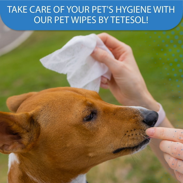 Dog Grooming Wipes Bugalugs 110-Count Biodegradable Dog Wipes
