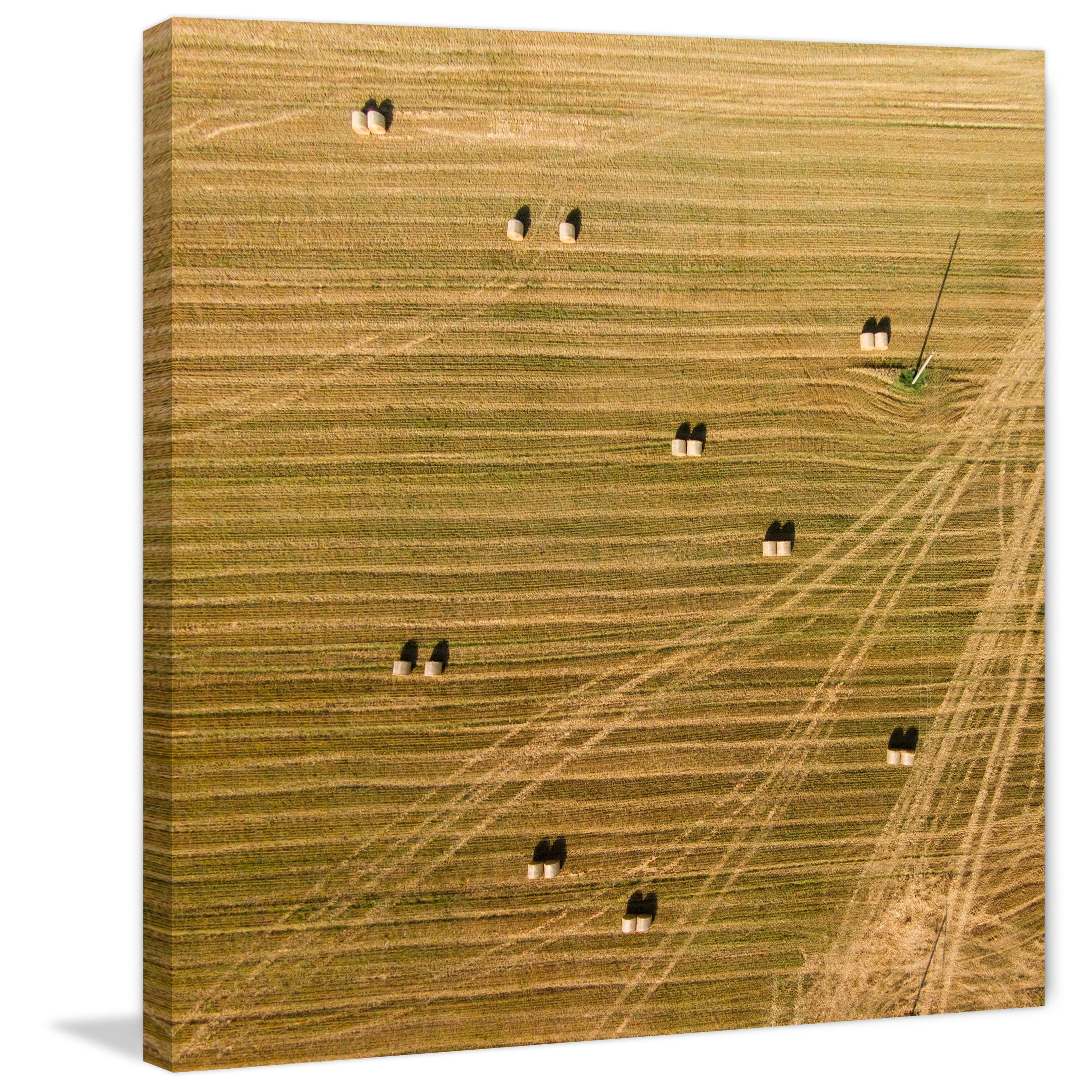 Marmont Hill "Tractor Trails" by Karolis Janulis Painting Print on Wrapped Canvas