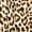 Animal Khaki, variant on Moa Collection Women's 2-Piece Lounge Set Buttery Soft Tunic and Black Leggings