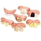 thumbnail image 3 of Dientes Divertidos de Broma Sunnimix Mordaza fea Dientes falsos 5 piezas, 3 of 8