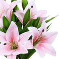 thumbnail image 2 of Paquete de 5 flores artificiales de lirio, flores falsas de tacto real para bodas, fiestas en casa, jardín, tienda, decoración de oficina, flores de imitación de lirio de plástico. Fokelyi CZJJ-HQ52-3, 2 of 7