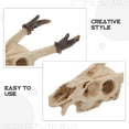 thumbnail image 3 of unbranded Con Calavera De Resina Para Terrarios Reptiles Y Peceras Color Marfil, 3 of 8