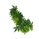 thumbnail image 1 of Planta de tanque oculta para reptiles, planta de seda colgante para acuario, soporte para plantas para pecera, plantas falsas, accesorios de serpiente, barba, 30cm, 1 of 5