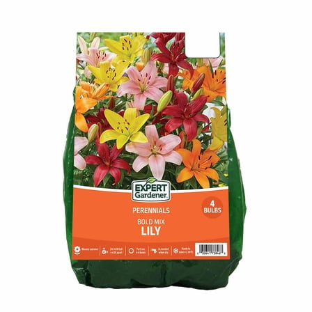 Expert Gardener Lily Bold Mix - Set Of 4 Dormant Bulbs, Multi-Color, Perennial, Partial Sun