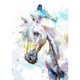 thumbnail image 1 of Taladro Pintura Diamante (DE4637) 5D DIY Novedad Completa Caballo Punto de Cruz Decoración (B1014) 30x40cm Hugtrwg Para estrenar, 1 of 1