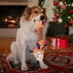 thumbnail image 5 of Jacenvly - Nueva decoración de pared en liquidación, juguetes elásticos navideños para mascotas, sonajero de papel con sonido, juguetes interactivos de tira y afloja, juguetes de peluche para perros, 5 of 7