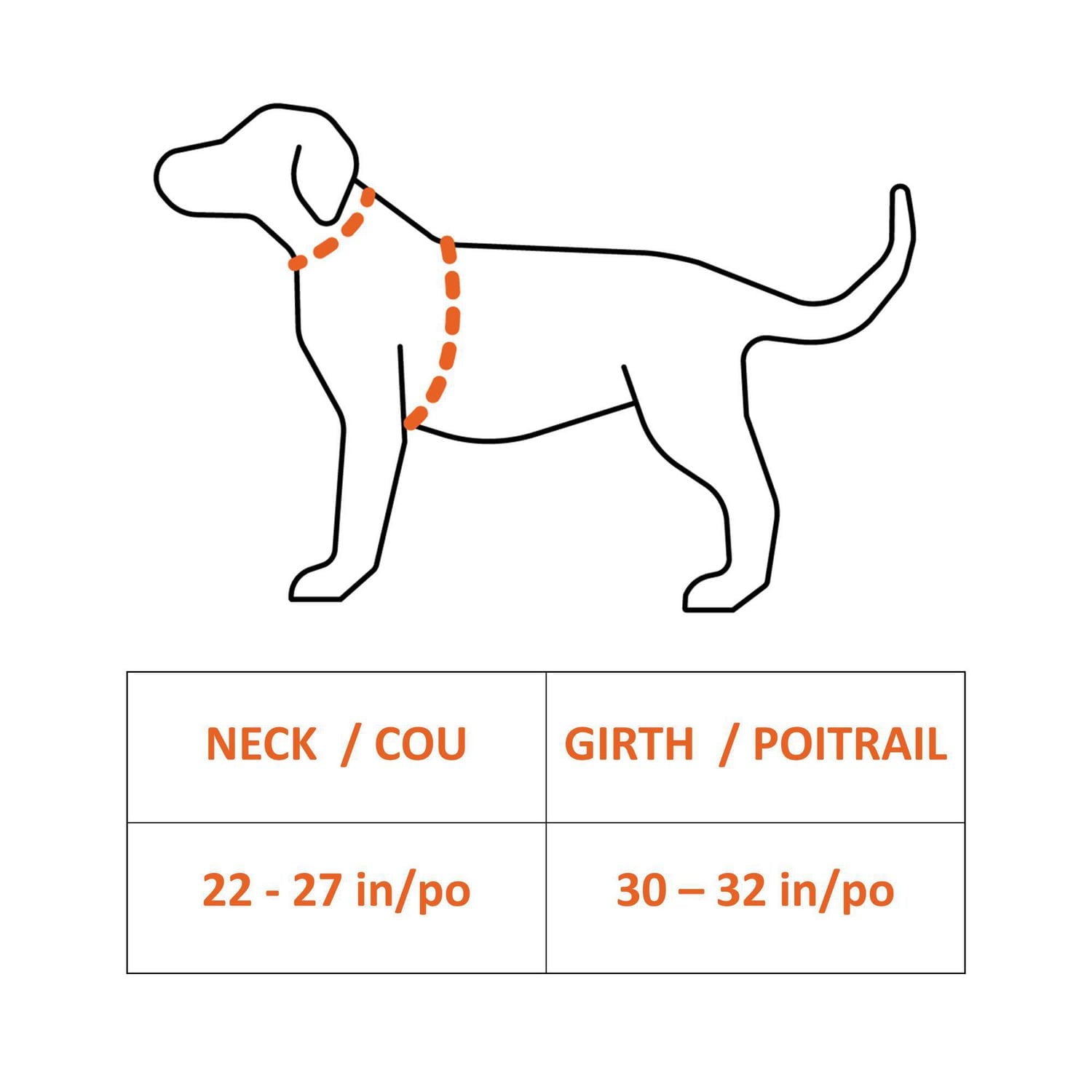 Sac à dos et harnais explorateur pour chien Wahl 2 en 1 confort et contrôle