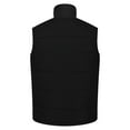 thumbnail image 2 of Regatta Mens Standout Altoona Insulated Bodywarmer Jacket, 2 of 4