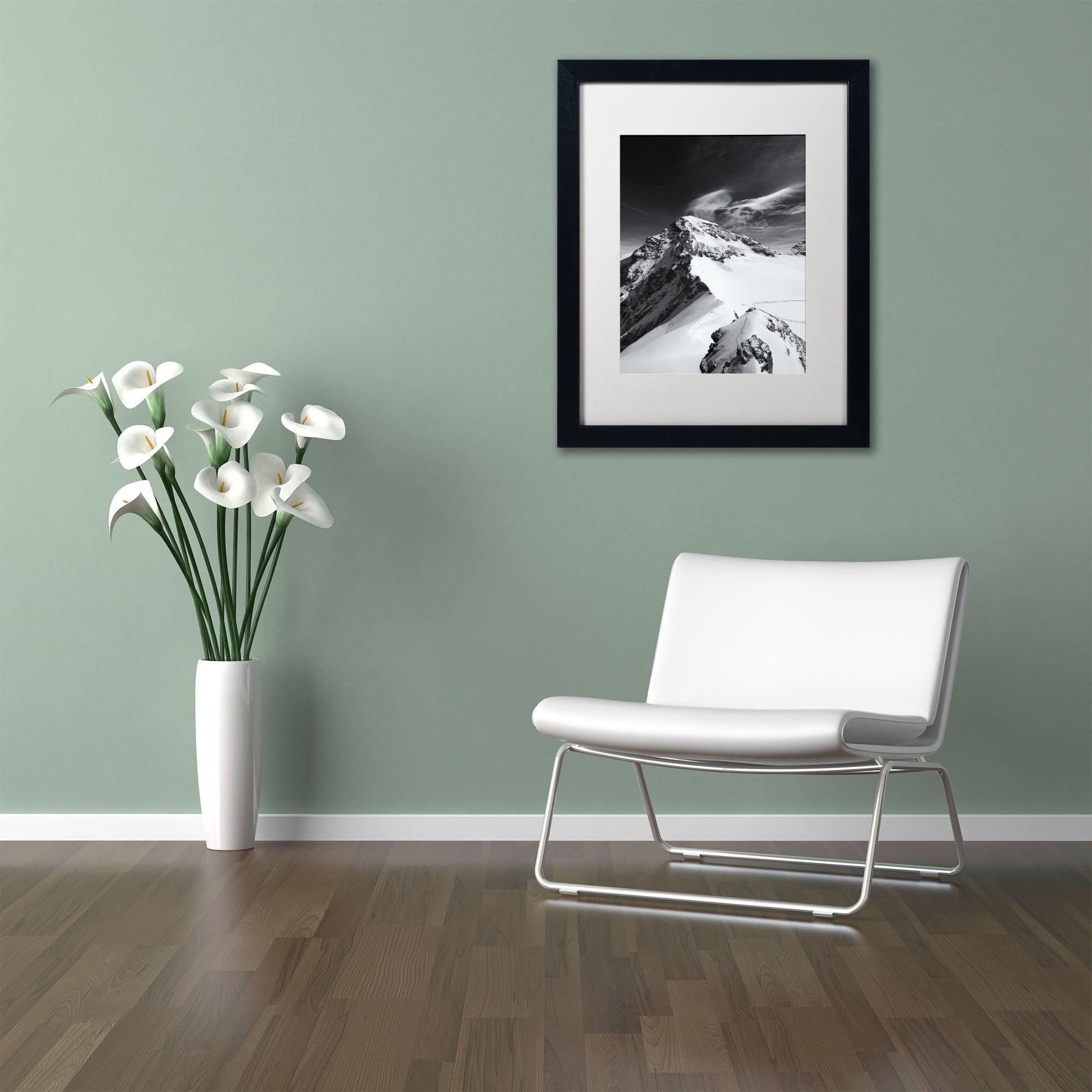 Trademark Fine Art "Eternity" Canvas Art by Philippe Sainte-Laudy, White Matte, Black Frame