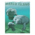 thumbnail image 2 of Marco Island, Manatees (1000 Piece Puzzle, Size 19x27, Challenging Jigsaw Puzzle for Adults and Family, Made in USA), 2 of 4