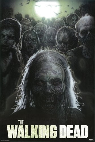 24x36 WALKING DEAD INFOGRAPHIC POSTER rolled and shrink wrapped 